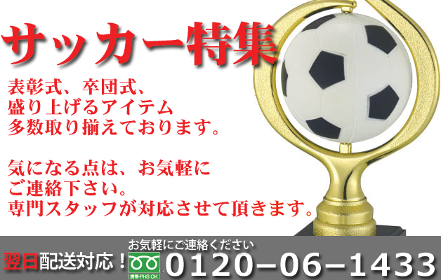 サッカートロフィー、サッカーメダル、サッカー記念品【赤井トロフィー】
