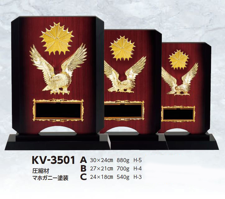 KV3501