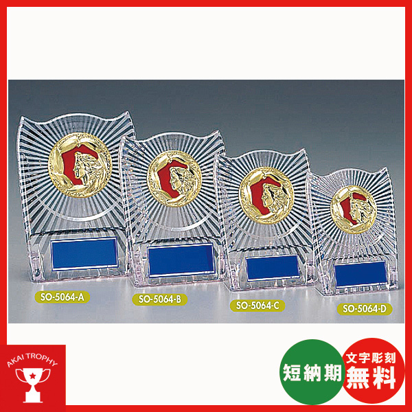 SO5064：名入れ・文字彫刻無料・大量購入や、大会の参加賞や、低予算時に格安な表彰楯　優勝楯