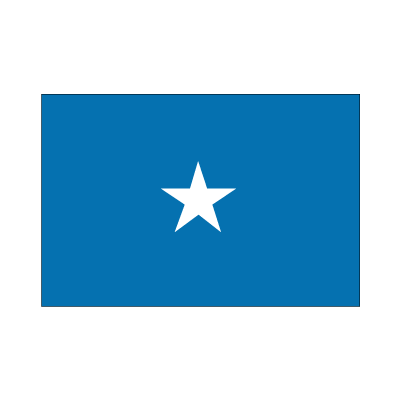 画像1: 卓上旗　ソマリア