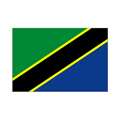 画像1: 卓上旗　タンザニア