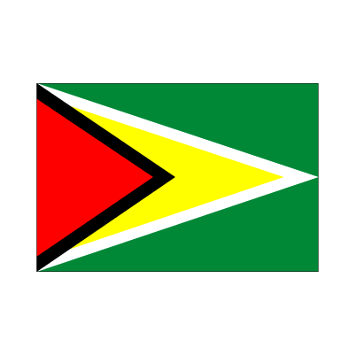 画像1: 卓上旗　ガイアナ