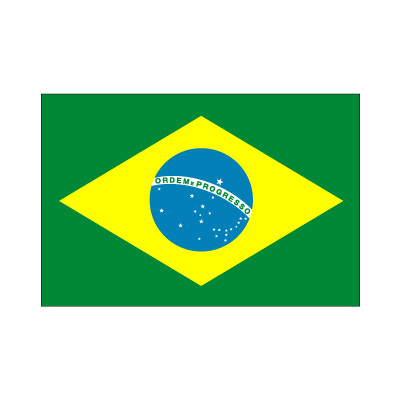 卓上旗 ブラジル 赤井トロフィー