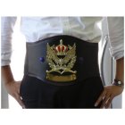 画像: チャンピオンベルトCHP2：ボクシング・空手・プロレス・格闘技・の大会に使用可能なチャンピオンベルト