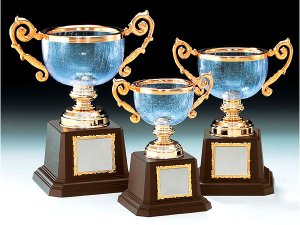 クリスタルカップVC1008イメージ1