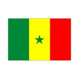 画像: 卓上旗　セネガル