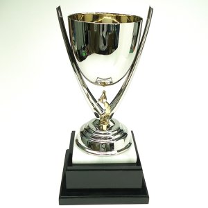 ゴルフカップPS1164画像3