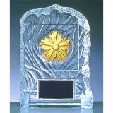 画像: XKF-7836（警察用) クリスタル楯 在隊記念・勇退記念・退職記念にオススメの警察用楯・クリスタルトロフィー