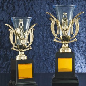 画像: 格安カップ PC357:大量購入や、大会の参加賞や、低予算時に格安な優勝杯・優勝カップ