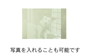 2Dレーザー加工表彰楯VOS451画像2