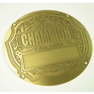 画像2: オリジナルチャンピオンベルト：ボクシング・プロレス・空手・格闘技・の大会に使用可能なチャンピオンベルト