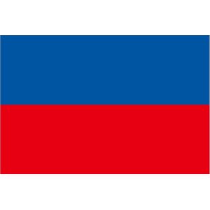 画像: ハイチ国旗(紋なし）：翌日発送可、世界の国旗掲揚、壁掛け、タペストリーに外国旗販売
