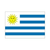 画像: ウルグアイ国旗：翌日発送可、世界の国旗掲揚、壁掛け、タペストリーに外国旗販売