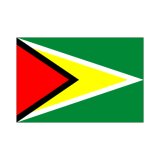 画像: ガイアナ国旗：翌日発送可、世界の国旗掲揚、壁掛け、タペストリーに外国旗販売