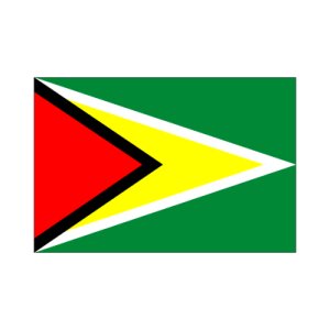 画像: ガイアナ国旗：翌日発送可、世界の国旗掲揚、壁掛け、タペストリーに外国旗販売