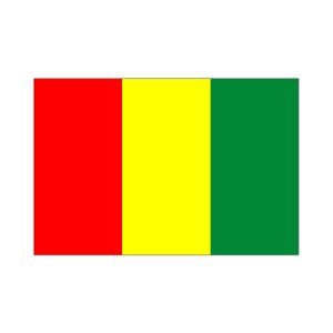 画像: ギニア国旗：翌日発送可、世界の国旗掲揚、壁掛け、タペストリーに外国旗販売