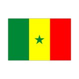 画像: セネガル国旗：翌日発送可、世界の国旗掲揚、壁掛け、タペストリーに外国旗販売