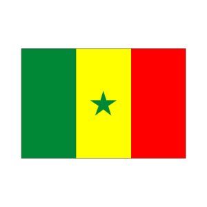 画像: セネガル国旗：翌日発送可、世界の国旗掲揚、壁掛け、タペストリーに外国旗販売