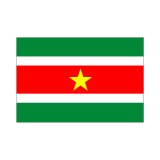 画像: スリナム国旗：翌日発送可、世界の国旗掲揚、壁掛け、タペストリーに外国旗販売