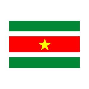 画像: スリナム国旗：翌日発送可、世界の国旗掲揚、壁掛け、タペストリーに外国旗販売