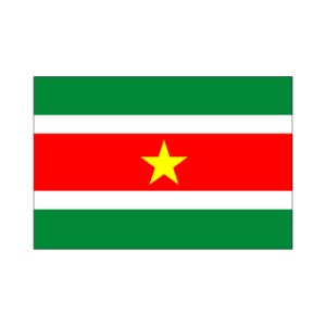 画像: スリナム国旗:翌日発送可、世界の国旗掲揚、壁掛け、タペストリーに外国旗販売