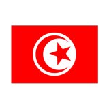画像: チュニジア国旗：翌日発送可、世界の国旗掲揚、壁掛け、タペストリーに外国旗販売