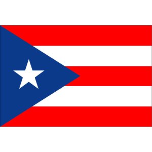 画像: プエルトリコ国旗：翌日発送可、世界の国旗掲揚、壁掛け、タペストリーに外国旗販売