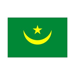 画像: モーリタニア国旗：翌日発送可、世界の国旗掲揚、壁掛け、タペストリーに外国旗販売