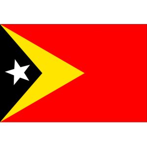 画像: 東ティモール民主共和国国旗：翌日発送可、世界の国旗掲揚、壁掛け、タペストリーに外国旗販売