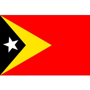 画像: 東ティモール民主共和国国旗：翌日発送可、世界の国旗掲揚、壁掛け、タペストリーに外国旗販売