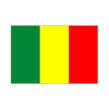 画像: マリ国旗：翌日発送可、世界の国旗掲揚、壁掛け、タペストリーに外国旗販売