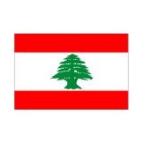 画像: レバノン国旗：翌日発送可、世界の国旗掲揚、壁掛け、タペストリーに外国旗販売
