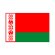 ベラルーシ国旗画像1