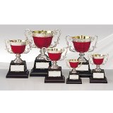 画像: AC9361 カラーカップ 色付のキレイなカラーカップ、優勝・準優勝・第三位の優勝杯・優勝カップ