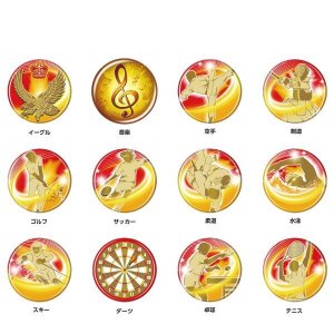 MDSメダルレリーフ画像