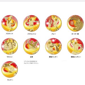 MDSメダルレリーフ画像