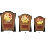 画像: VSX5520.：レリーフ交換式楯　各種競技も対応　表彰楯