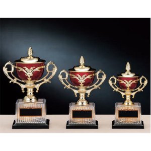 画像: 格安カップ CP-166:大量購入や、大会の参加賞や、低予算時に格安な優勝杯・優勝カップ