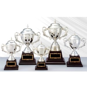 画像: AS-9029:野球・空手・ゴルフ・サッカー・全ジャンルに優勝杯・優勝カップ