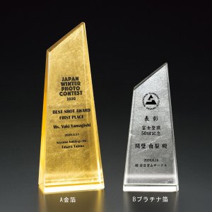 画像: 表彰楯　金箔＋ファインカラーDP　VOT121箔真：企業表彰・コンテスト・認定書・周年記念・表彰用品にハイセンスで、おしゃれな表彰楯