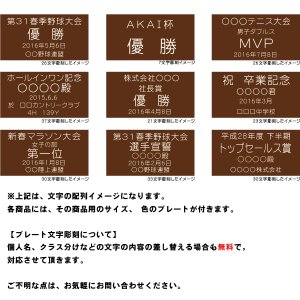 画像4: 特注レリーフ　SH7333　カラープリント+透明樹脂盛りあり　1本柱トロフィー