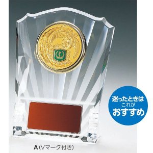 画像: VSX5533Vマーク付き楯大会の記念　選べるレリーフがついた格安楯　表彰楯