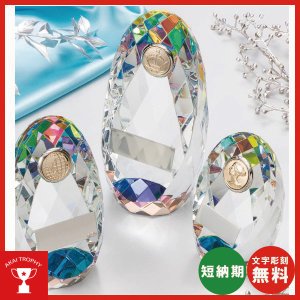 クリスタルトロフィーCMV401 