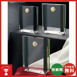 クリスタルトロフィーCMV328