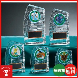 画像: KV-5408:各種大会に使用していただけるPVCレリーフ(60mmΦ)交換式クリスタル楯