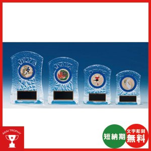 画像1: KV-5405：各種大会に使用していただける真鍮レリーフ(45mmΦ)交換式クリスタル楯