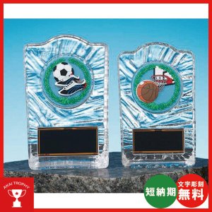 画像: KV-5412:各種大会に使用していただけるPVCレリーフ(60mmΦ)交換式クリスタル楯