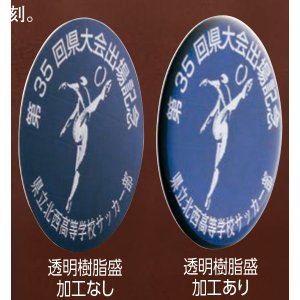 画像2: SHM-231：φ80mmメダル　付属プラケース入り　特注レーザー彫刻レリーフ透明樹脂盛りあり付オリジナルメダル：全ジャンル大会に対応オリジナルメダル、優勝メダル