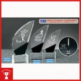 画像: 2Dレーザー加工　SHD7568：コンテスト・認定書・周年記念・表彰用品にオススメ　２D加工表彰楯