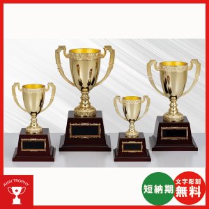 画像: AG9715:野球・空手・ゴルフ・サッカー・全ジャンルに優勝杯・優勝カップ
